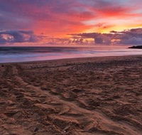 Mon Repos Beach - Accommodation QLD