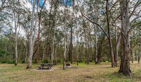 Koreelah National Park - Accommodation QLD 3