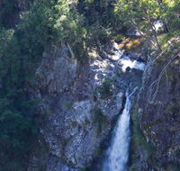 Lyrebird Falls walking track - Accommodation QLD
