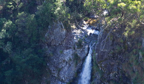 Lyrebird Falls Walking Track - Accommodation QLD 0