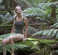 Barrington Tops National Park - Honeysuckle Forest Track - Accommodation QLD