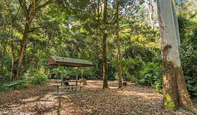 Tooloom ACT Accommodation QLD
