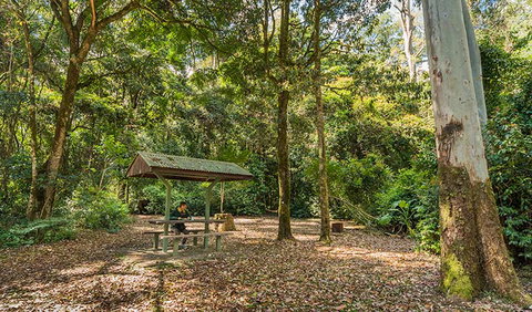 Tooloom National Park - Accommodation QLD 0