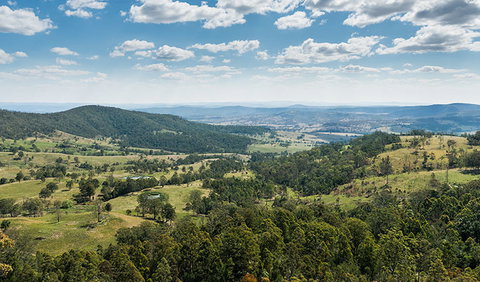 Tooloom National Park - Accommodation QLD 1