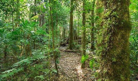 Tooloom National Park - Accommodation QLD 2