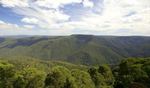 Barrington Tops National Park - Accommodation QLD 0
