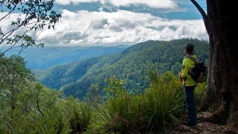 Barrington Tops National Park - Accommodation QLD 3
