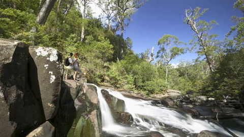Barrington Tops National Park - Accommodation QLD 2
