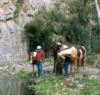 Yarramba Horse Riding - Accommodation QLD