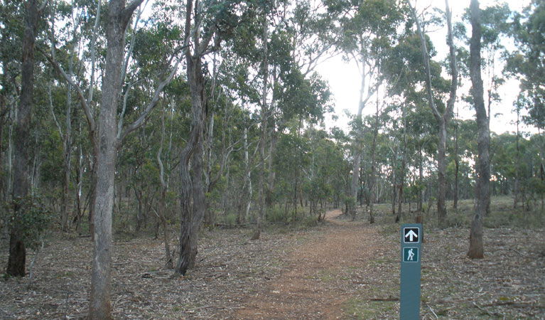  Accommodation QLD