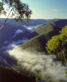 Long Point Lookout - Accommodation QLD 0
