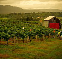 Around Hermitage Wine and Food Trail Hunter Valley - Accommodation QLD
