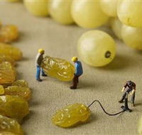 Hunter Valley Wine School - Accommodation QLD