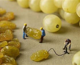 Hunter Valley Wine School - Accommodation QLD 0