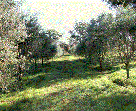 Langdale Farm - Accommodation QLD