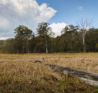 Mummel Gulf National Park - Accommodation QLD