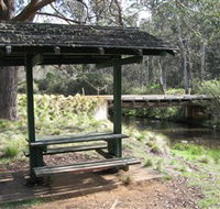 Barrington Tops State Forest - Accommodation QLD