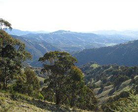 Barrington Tops State Forest - Accommodation QLD 2