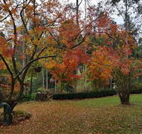Bellbird Cottage - Accommodation QLD