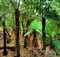 Pegarah Private Nature Reserve  Parenna Place - Accommodation QLD