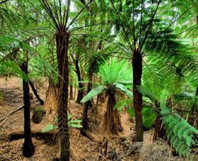 Pegarah Private Nature Reserve & Parenna Place - Accommodation QLD 0