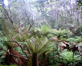 Pegarah Private Nature Reserve & Parenna Place - Accommodation QLD 1