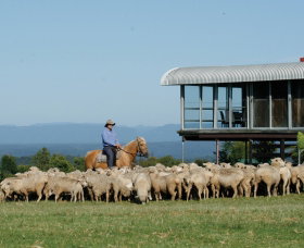 Tobruk Sydney - Accommodation QLD 0