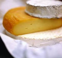 Hunter Valley Cheese Company - Accommodation QLD