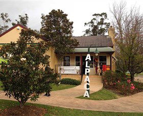Australian Alpaca Barn - Hunter Valley Gardens - Accommodation QLD 0