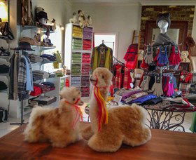 Australian Alpaca Barn - Hunter Valley Gardens - Accommodation QLD 2