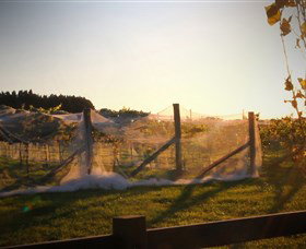 Bendooley Estate Book Barn - Accommodation QLD 2