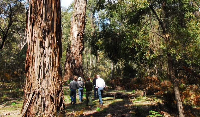 Bendoura NSW Accommodation QLD
