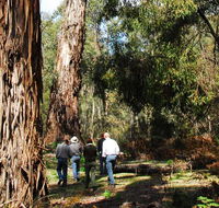 Tallaganda National Park - Accommodation QLD
