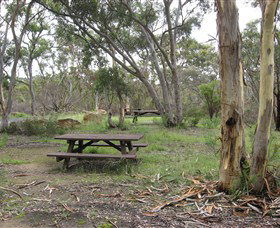 Box Vale Picnic Area - Accommodation QLD 2