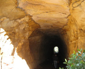 Box Vale Picnic Area - Accommodation QLD 1