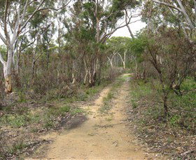 Box Vale Picnic Area - Accommodation QLD 4
