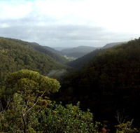 Nattai Gorge Lookout - Accommodation QLD