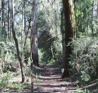 Box Vale Mine Walking Track and Lookout - Accommodation QLD