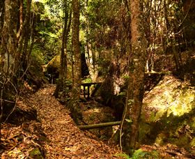 Cave Creek Walking Track - Accommodation QLD 2