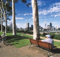 Kings Park and Botanic Garden - Accommodation QLD