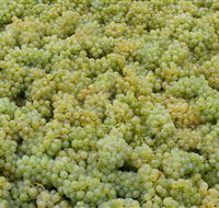 Normanby Wines - Accommodation QLD