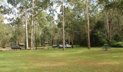 Mill Creek Picnic Area - Accommodation QLD 0