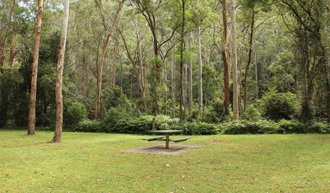 Mill Creek Picnic Area - Accommodation QLD 1