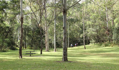 Mill Creek Picnic Area - Accommodation QLD 3