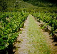 Gartelmann Wines - Accommodation QLD
