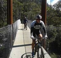 McGees Cycling Store - Accommodation QLD