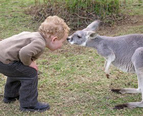 Hunter Valley Zoo - Accommodation QLD 3