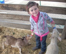 Hunter Valley Zoo - Accommodation QLD 4