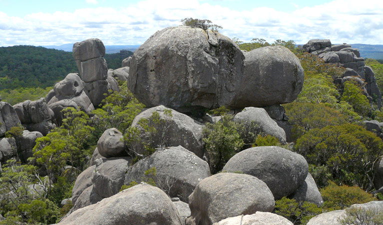 Bostobrick NSW Accommodation QLD