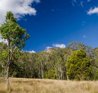 Brush Turkey track - Accommodation QLD